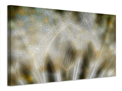 canvas-print-fireworks-nature-x