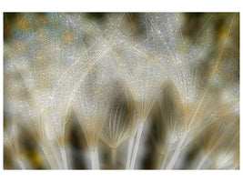 canvas-print-fireworks-nature-x