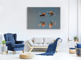 canvas-print-flamingo-landing-x