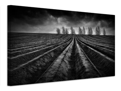 canvas-print-flanders-fields-iii-x