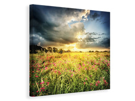 canvas-print-flowers-landscape