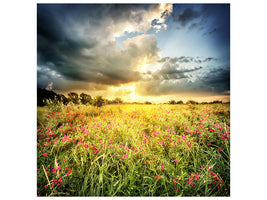 canvas-print-flowers-landscape