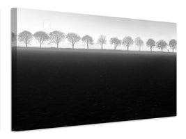 canvas-print-foggy-flevopolder-x