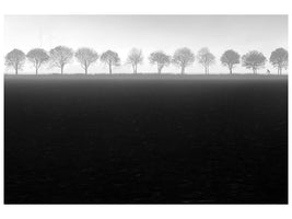 canvas-print-foggy-flevopolder-x