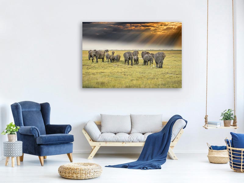 canvas-print-for-the-love-of-elephants-x