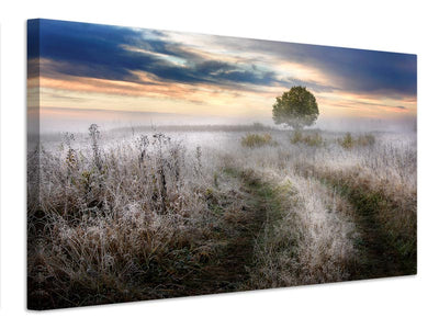 canvas-print-frosty-morning-x