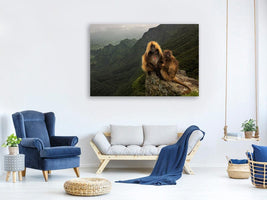 canvas-print-gelada-baboons-xep