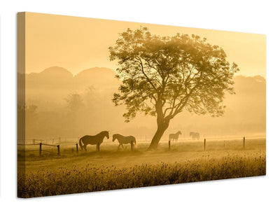 canvas-print-golden-horses-x