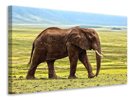 canvas-print-gorgeous-elephant