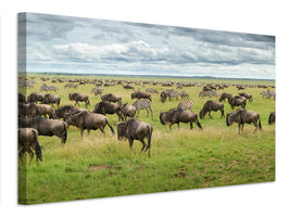 canvas-print-great-migration-in-serengeti-plains-x