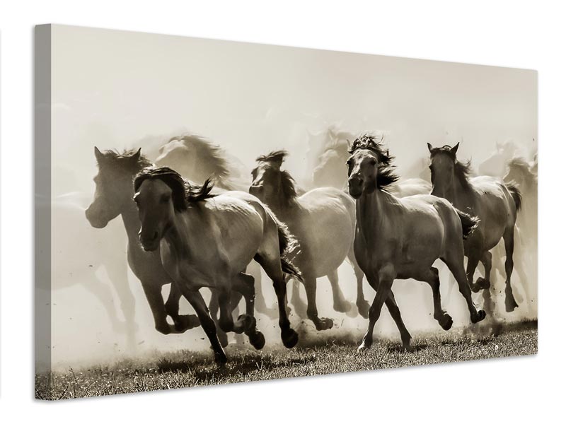 canvas-print-horse-x