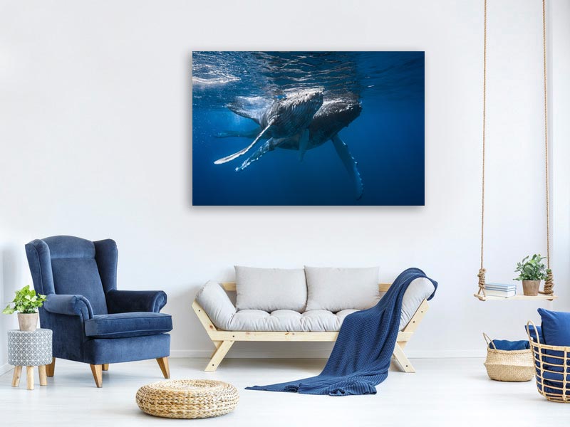 canvas-print-humpback-whale-x