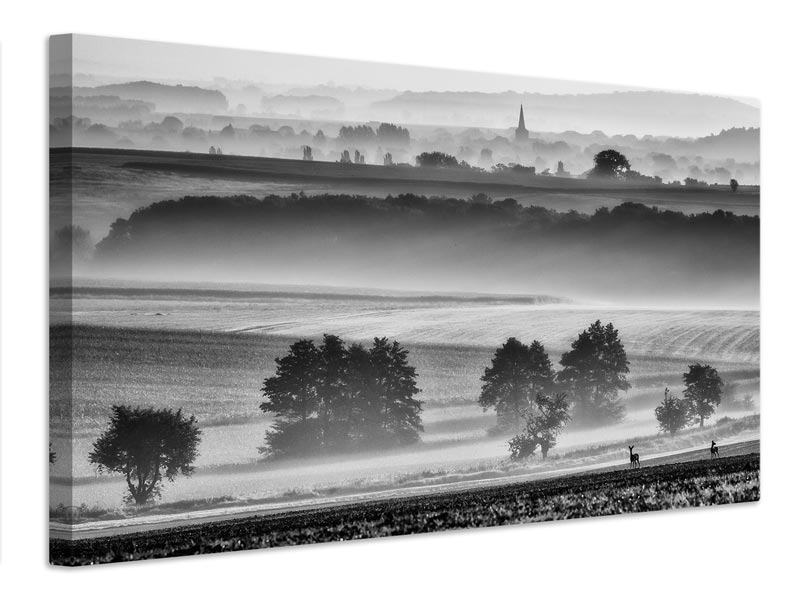 canvas-print-in-the-morning-x