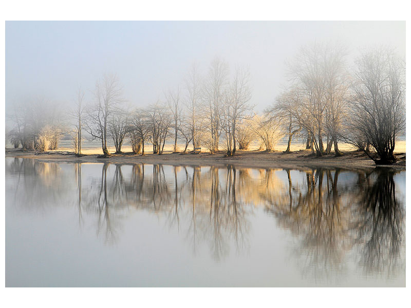 canvas-print-january-morning