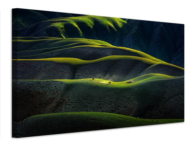 canvas-print-joan-kushtai-grassland-x