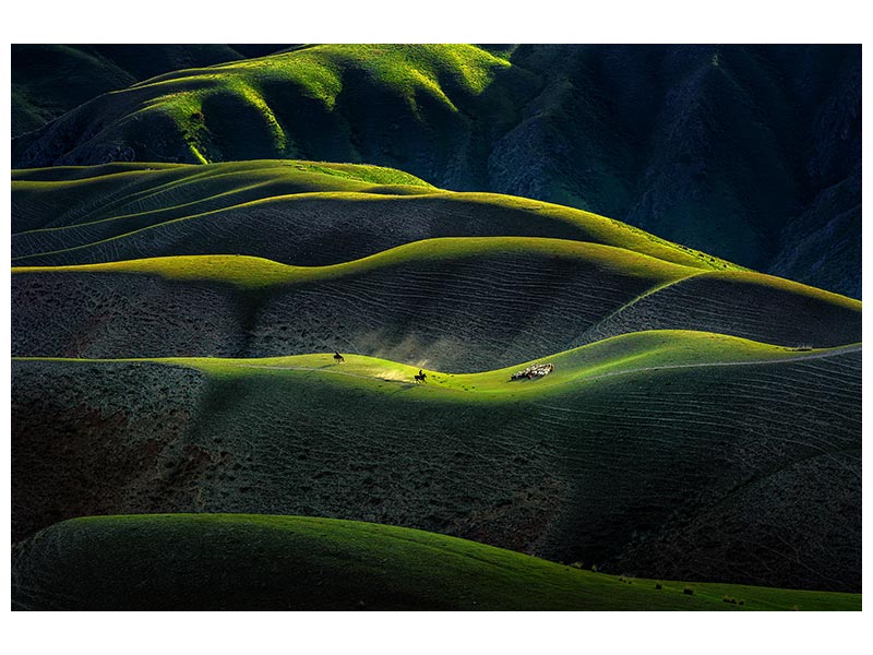 canvas-print-joan-kushtai-grassland-x