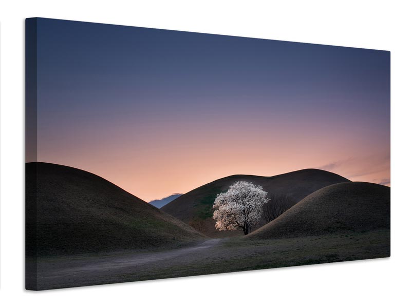 canvas-print-king-s-grave-x