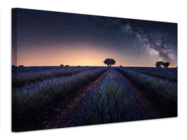 canvas-print-lavender-fields-xxw