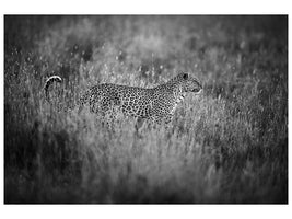 canvas-print-leopard-s-mood-x