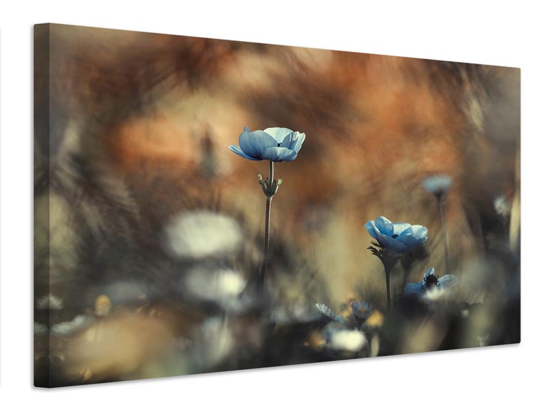 canvas-print-let-flowers-rule-the-world-x