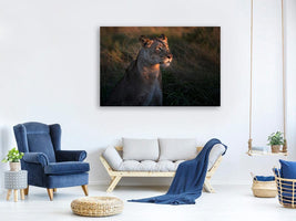 canvas-print-lioness-at-first-day-ligth-x