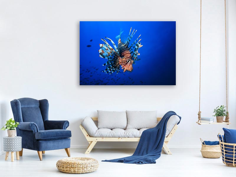 canvas-print-lionfish-x