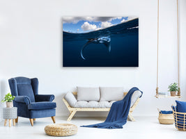 canvas-print-little-manta-ray