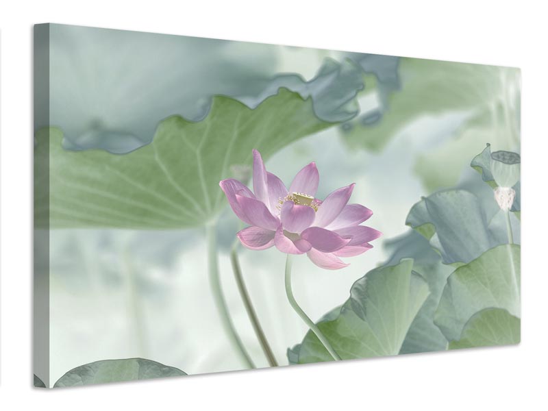 canvas-print-lotus-x