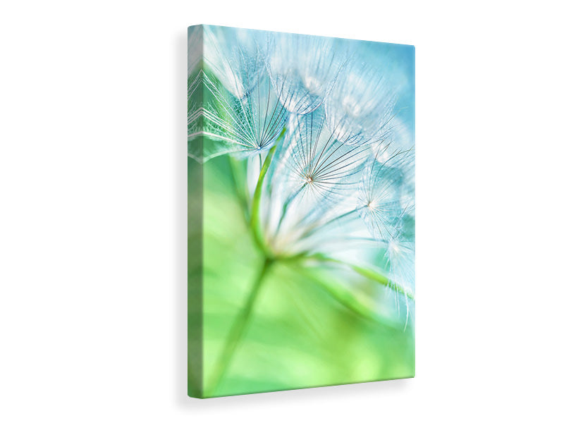 canvas-print-macro-dandelion