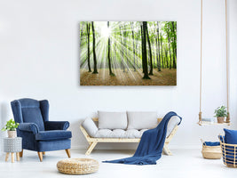 canvas-print-magic-light-in-the-trees