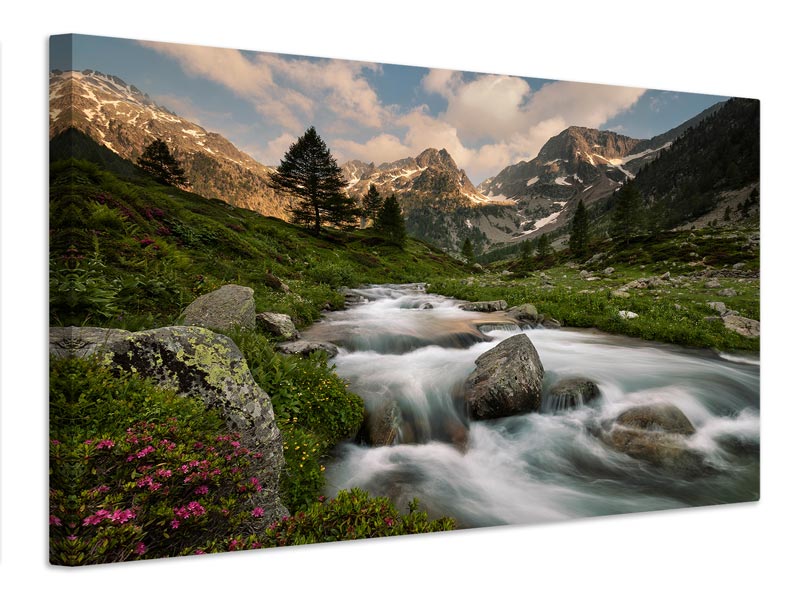 canvas-print-maritime-alps-park-x