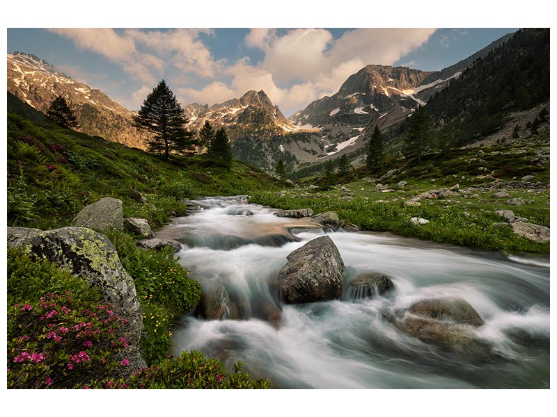 canvas-print-maritime-alps-park-x