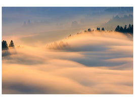 canvas-print-misty-morning-a