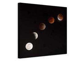 canvas-print-moon-at-play-x