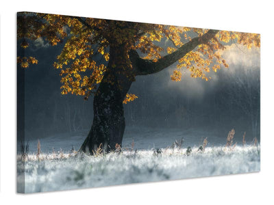 canvas-print-morning-breath-x