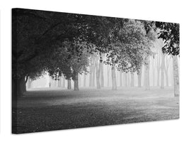 canvas-print-morning-fog-xyy