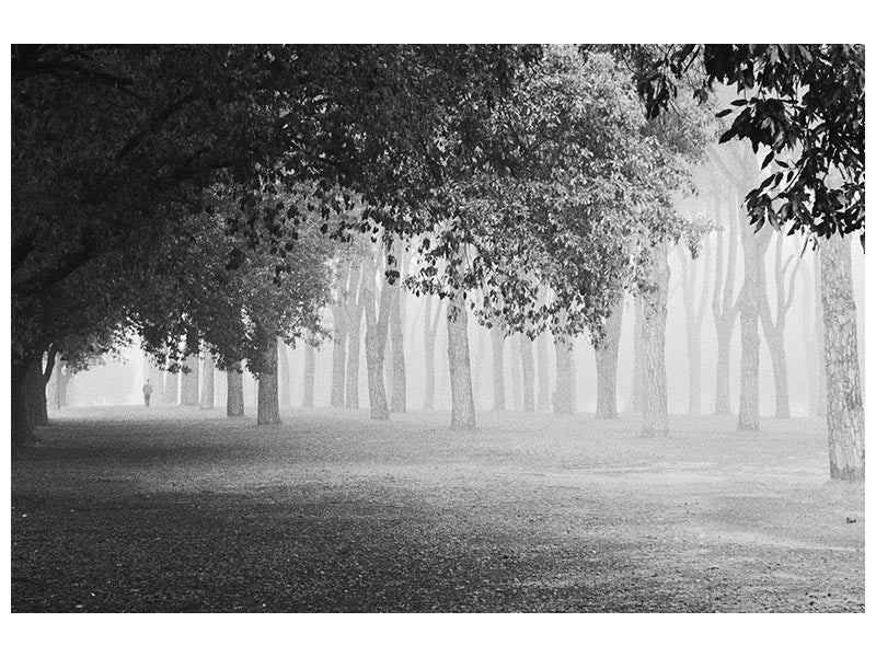 canvas-print-morning-fog-xyy