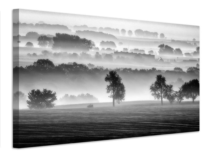 canvas-print-morning-view-xzk