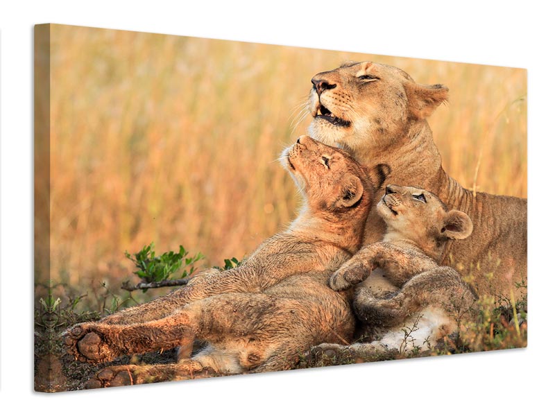 canvas-print-mothers-love-x