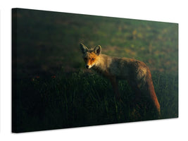 canvas-print-mrfox-x