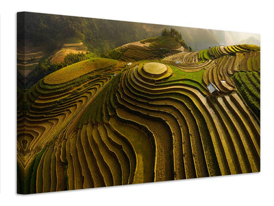 canvas-print-mu-cang-chai-vietnam-x