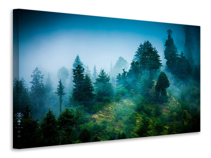 canvas-print-mysterious-forest-ii