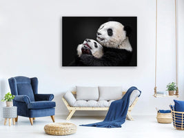 canvas-print-pandas-x