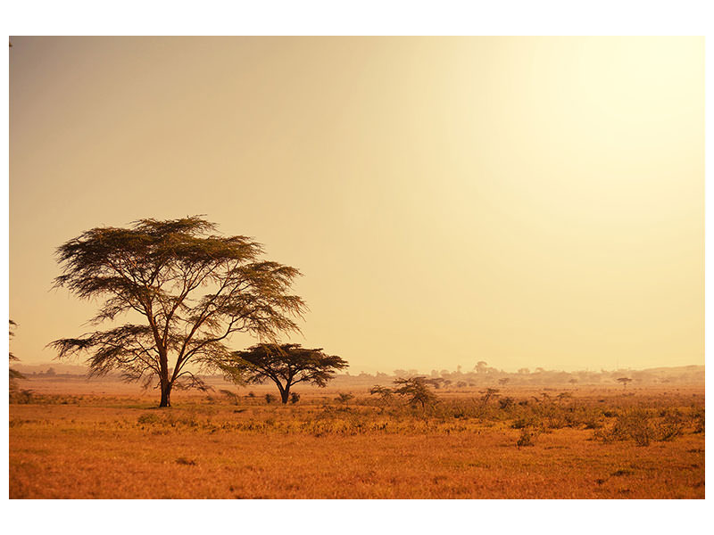 canvas-print-pastures-in-kenya