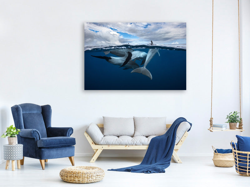 canvas-print-pod-of-dolphin-at-the-surface