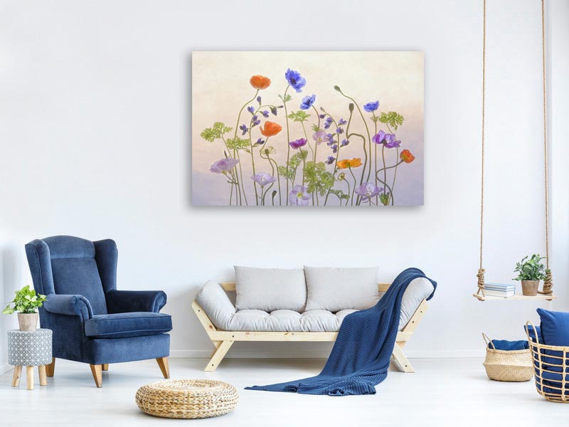 canvas-print-poppy-a-anemone-x