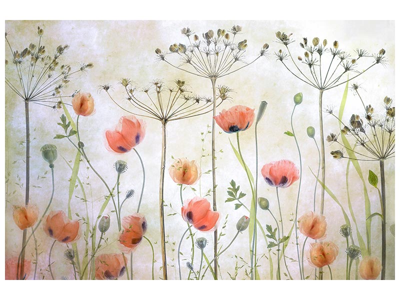 canvas-print-poppy-meadow-x