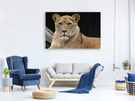 canvas-print-proud-lioness