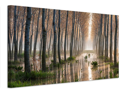 canvas-print-rains-of-spring-x