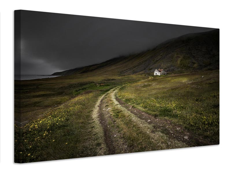 canvas-print-raw-x